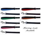 Ace Comfy Matching Leather Lead with PADDED Leather Handle ~ length 44" (10 Colors)